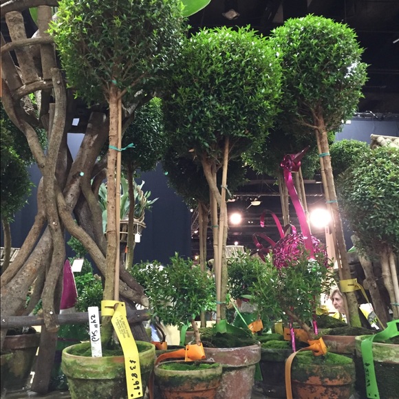 Meet your Posher, Karen - Picture 7 of 8